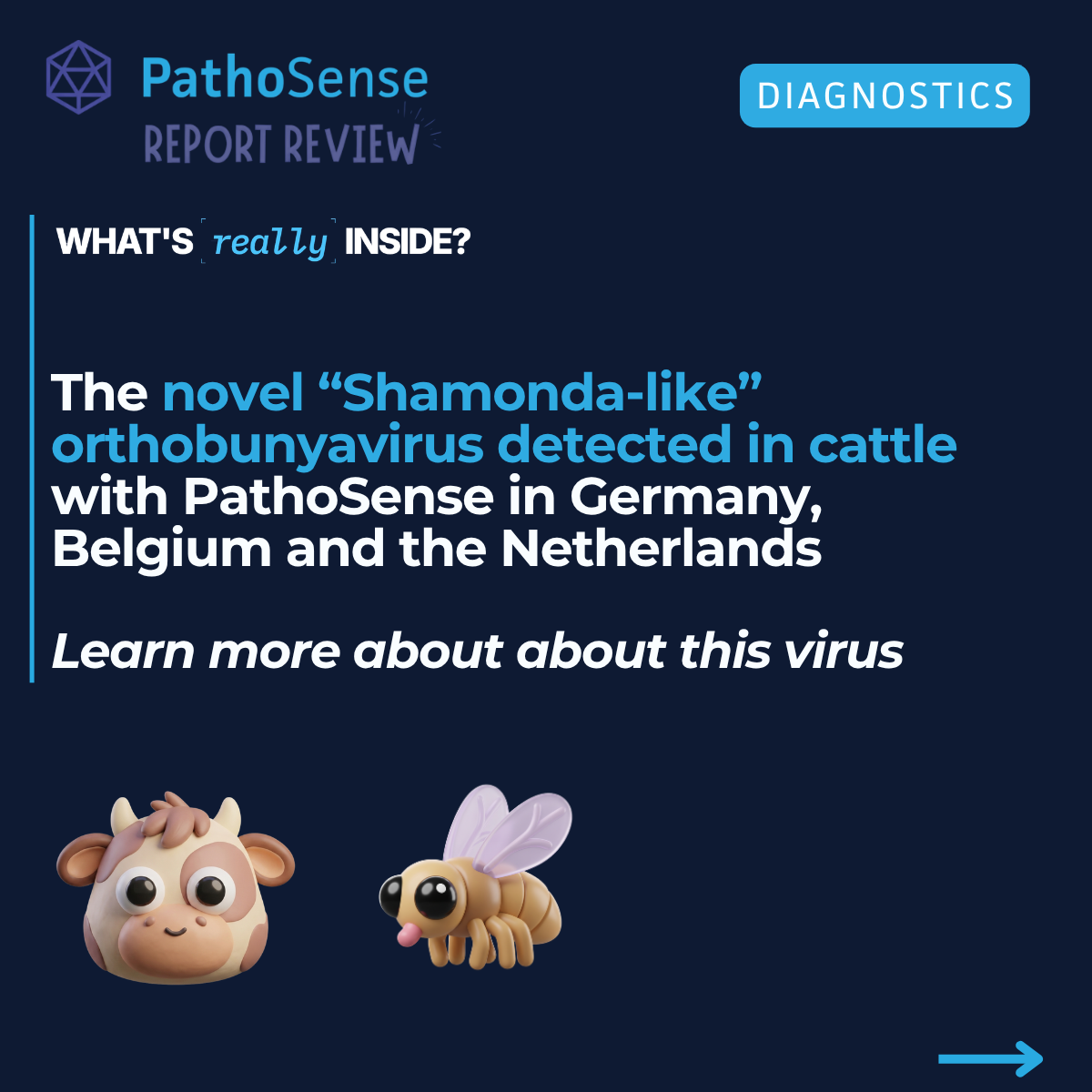 Title slide: What's really inside? β The novel Shamonda-like orthobunyavirus detected in cattle