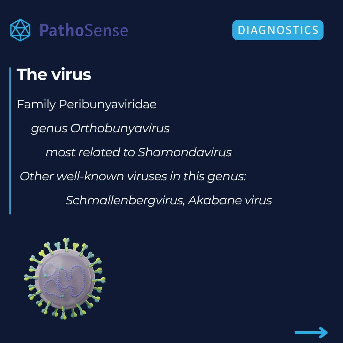 The virus β Family Peribunyaviridae, genus Orthobunyavirus, related to Shamondavirus